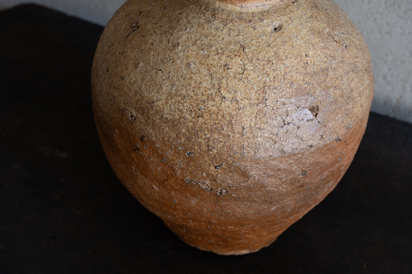 Old Shigaraki earthen ware jar