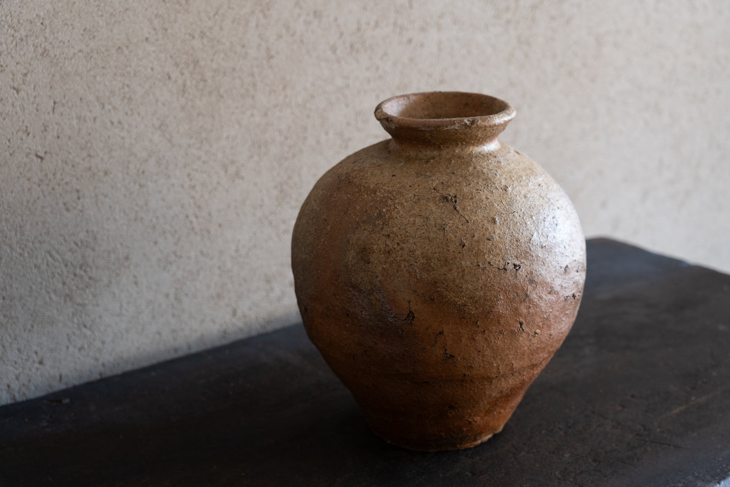 Old Shigaraki earthen ware jar