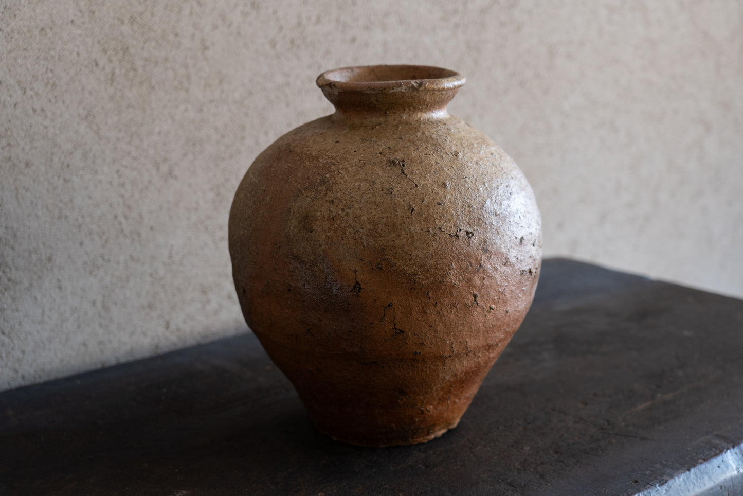 Old Shigaraki earthen ware jar