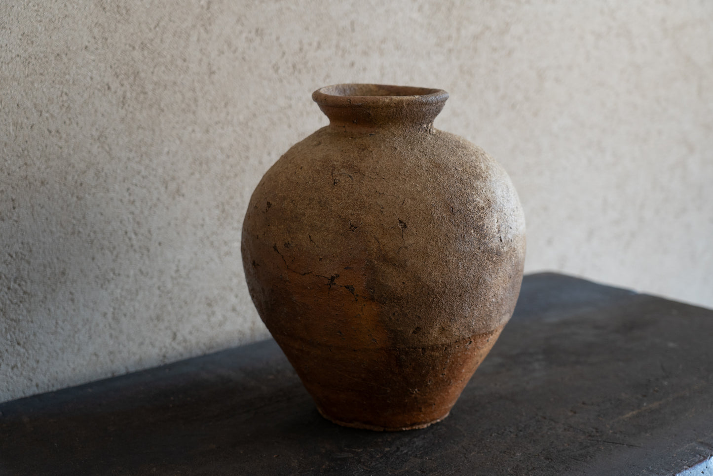 Old Shigaraki earthen ware jar