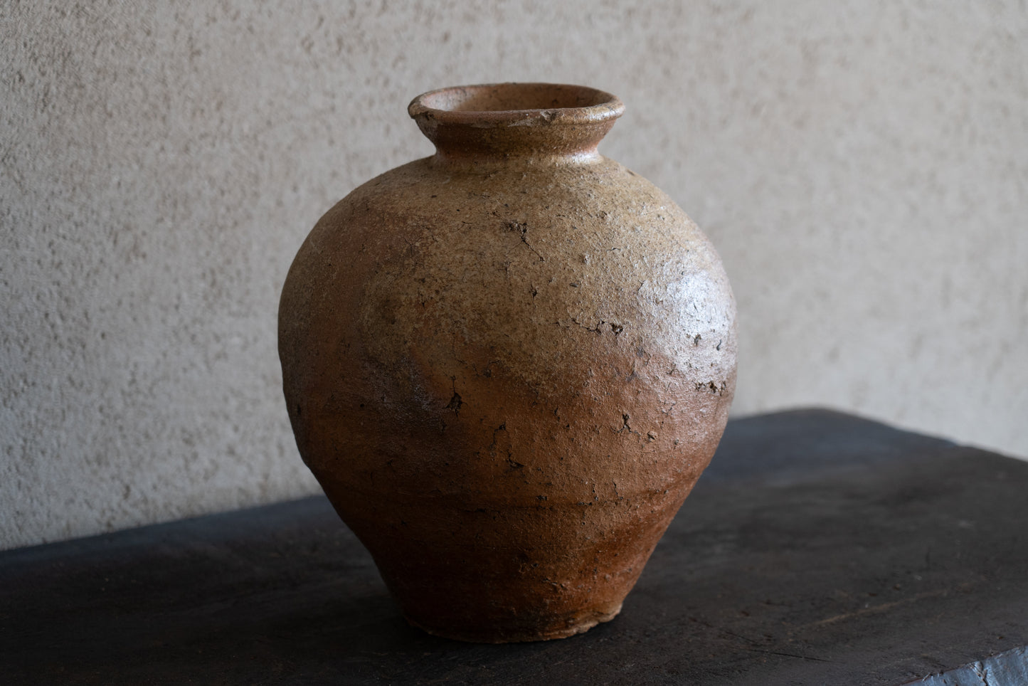 Old Shigaraki earthen ware jar