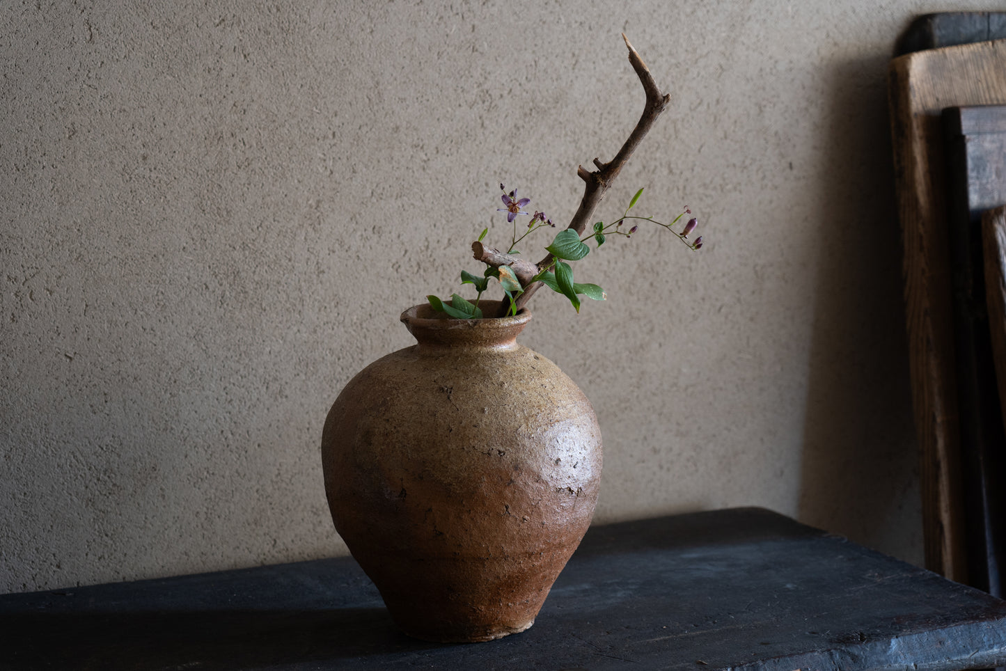 Old Shigaraki earthen ware jar