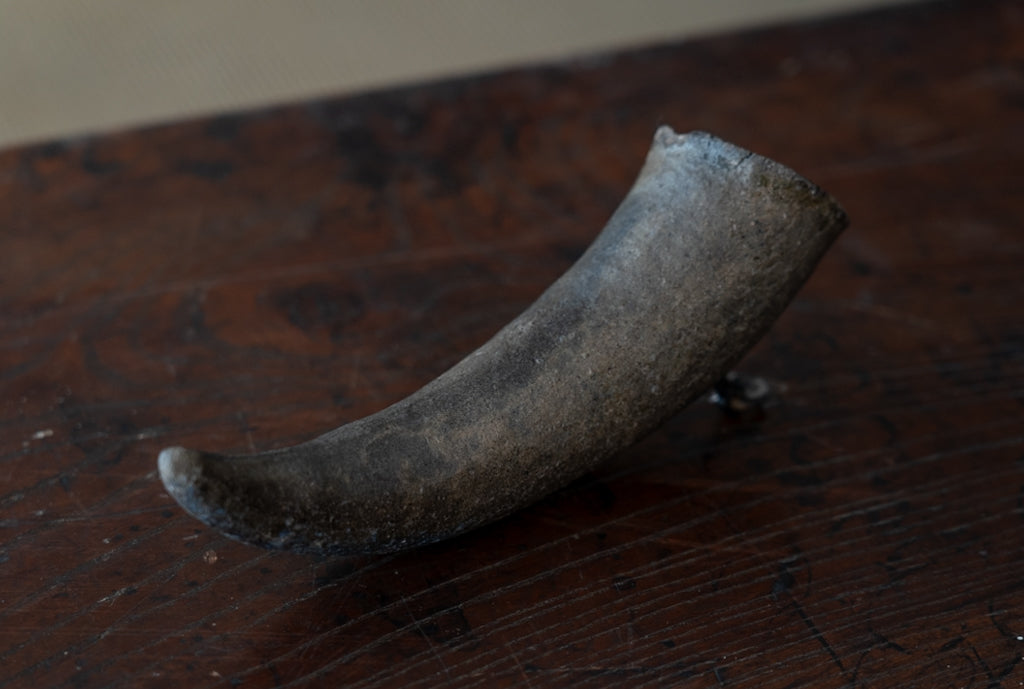 Silla Horn Cup Hanging Vase