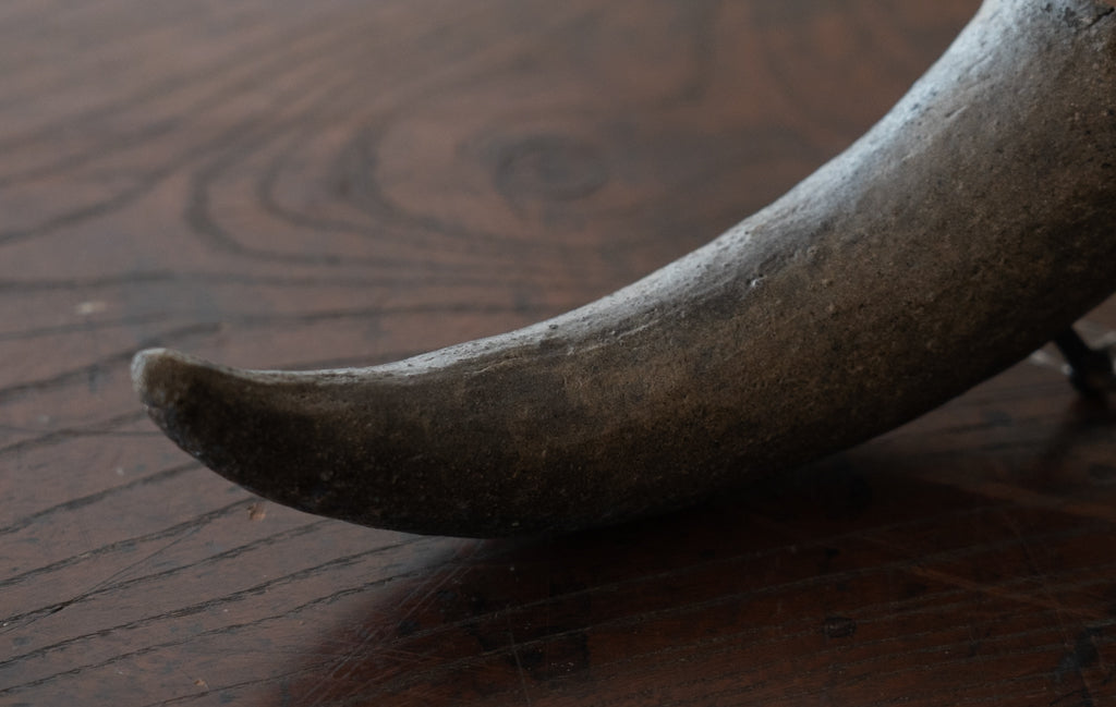 Silla Horn Cup Hanging Vase