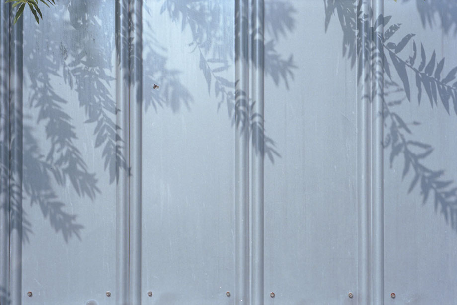 杉谦太郎 书籍《忘草 东京》
