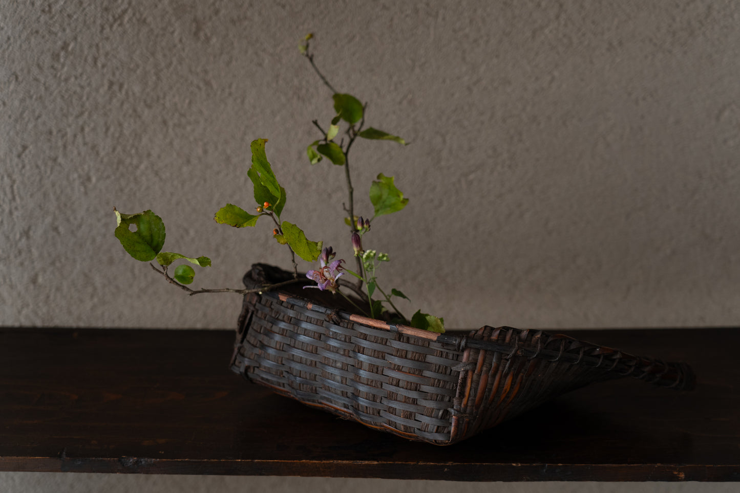 Antique bamboo winnowing basket