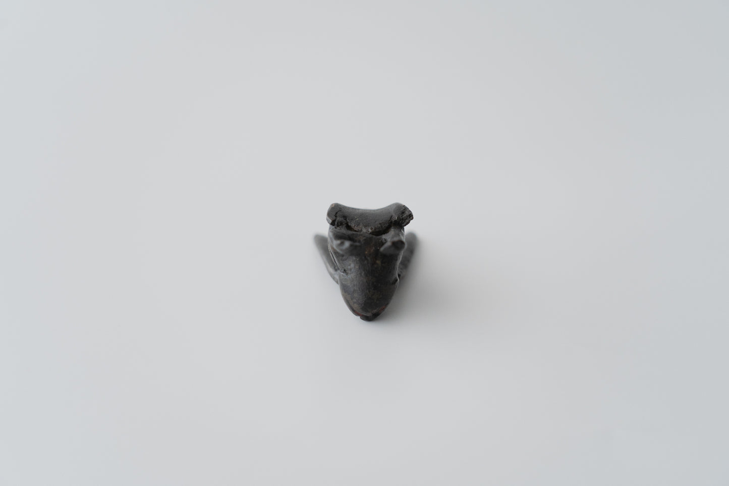Long-eared rabbit writing rack