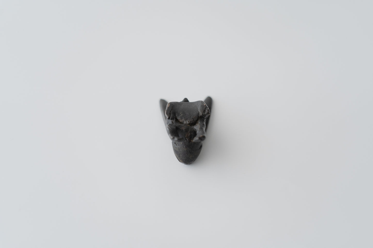 Long-eared rabbit writing rack